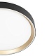 потолочный светильник citilux boss cl751351g