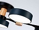 потолочная люстра ambrella light linetech fl4835