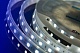 светодиодная лента designled dsg560-12-w-65 000518