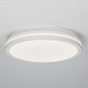 потолочный светильник citilux luns cl711020v