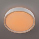 потолочный светильник citilux boss cl751250g