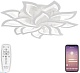 потолочная светодиодная люстра natali kovaltseva olimp led lamps 81335-74067