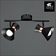 спот arte lamp baltimore a1406ap-2bk