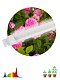 линейный светильник эра fito-10w-т5-ra90-slim б0057400