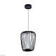 подвесной светильник arte lamp flare a3528sp-12bk