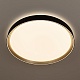потолочный светильник citilux boss cl751451g