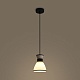 подвесной светильник freya topi fr5503pl-01b1