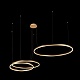 подвесной светодиодный светильник loft it ring 10017/3m