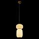 подвесной светильник loft it duff 10422/b