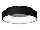 потолочный светильник myfar shannon mr2193-1pl