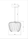 подвесной светильник arte lamp flare a3529sp-12bk