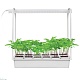 светодиодный светильник для растений uniel minigarden ult-p34-10w/spsb ip40 white 12 ul-00004149
