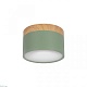 накладной светодиодный светильник loft it grape 10162 green
