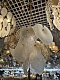 подвесная люстра arte lamp kapri a4078lm-12go