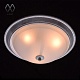 потолочный светильник mw-light ариадна 11 450013403