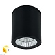 уличный потолочный светильник arte lamp torcular a1313pf-1bk