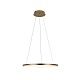 подвесной светодиодный светильник loft it ring 10014m