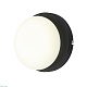 настенный светильник escada meteor 10273/1led black