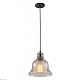 подвесной светильник arte lamp amiata a4255sp-1am