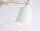люстра на штанге ambrella light loft tr82204