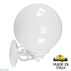 уличный настенный светильник fumagalli globe g30.131.000.wyf1r