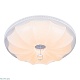 потолочный светодиодный светильник escada 10231/s led