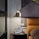 подвесной светильник imperiumloft skovl 186773-26