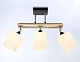 спот ambrella light traditional modern tr9507