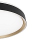 потолочный светильник citilux boss cl751451g
