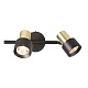 спот citilux sat cl505621