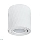 потолочный светильник arte lamp fang a5559pl-1wh