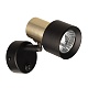 спот citilux sat cl505611
