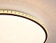 потолочный светодиодный светильник ambrella light orbital crystal ff71