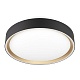 потолочный светильник citilux boss cl751251g