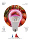 лампа светодиодная для растений эра e27 10w 1310k прозрачная fito-10w-rb-e27 б0050600