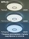 накладной светильник citilux cl703a60g