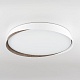 потолочный светильник citilux bonny cl754450g