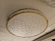 потолочный светодиодный светильник sonex piko felice 7722/65l