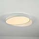 потолочный светильник imperiumloft shell 228947-26