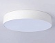 потолочный светильник ambrella light air alum fv5531