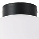 потолочный светильник lightstar globo 812037