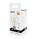 лампа светодиодная gauss filament elementary e27 9w 2700k 22219