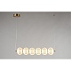 подвесная люстра omnilux cedrello oml-68803-06