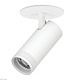 встраиваемый светильник 20-55g с адаптером lightstar canno pro c4206rs
