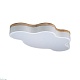 потолочный светодиодный светильник loft it axel 10005/36 white