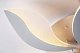 потолочная светодиодная люстра escada 10214/sg (60w)