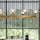 подвесная люстра imperium loft lotos 140839-26