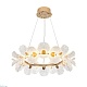 подвесная люстра modelight mdl.89092.800hc gd