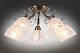 потолочная люстра omnilux casagliana oml-53807-05
