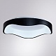 потолочный светильник arte lamp ankaa a3085pl-48bk